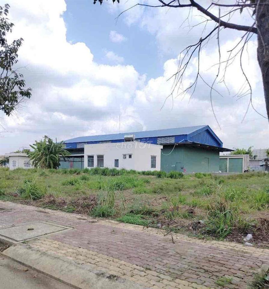 Tôi có miếng đất cần bán ở Bàu Bàng cần bán gấp