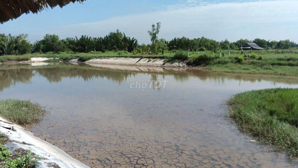 cho thuê đất nuôi tôm công nghiệp-quán ăn 