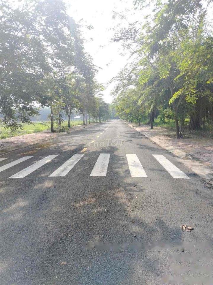 Đất Urban Dream Biên Hoà Đồng Nai