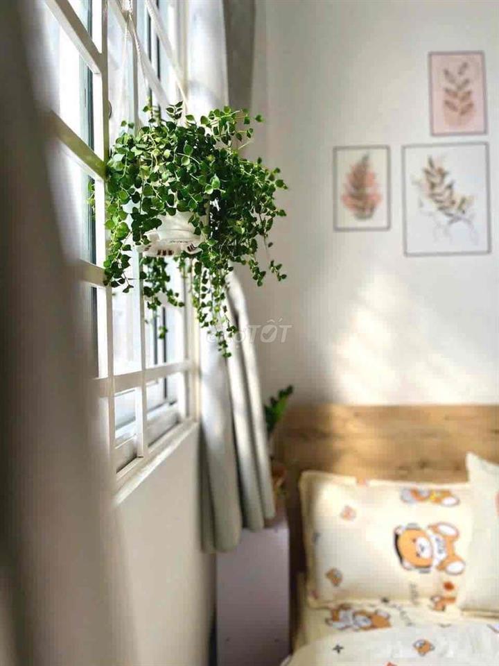 🌈Khai trương phòng ban công tách bếp - Ngay CN4, Emart - Thang máy