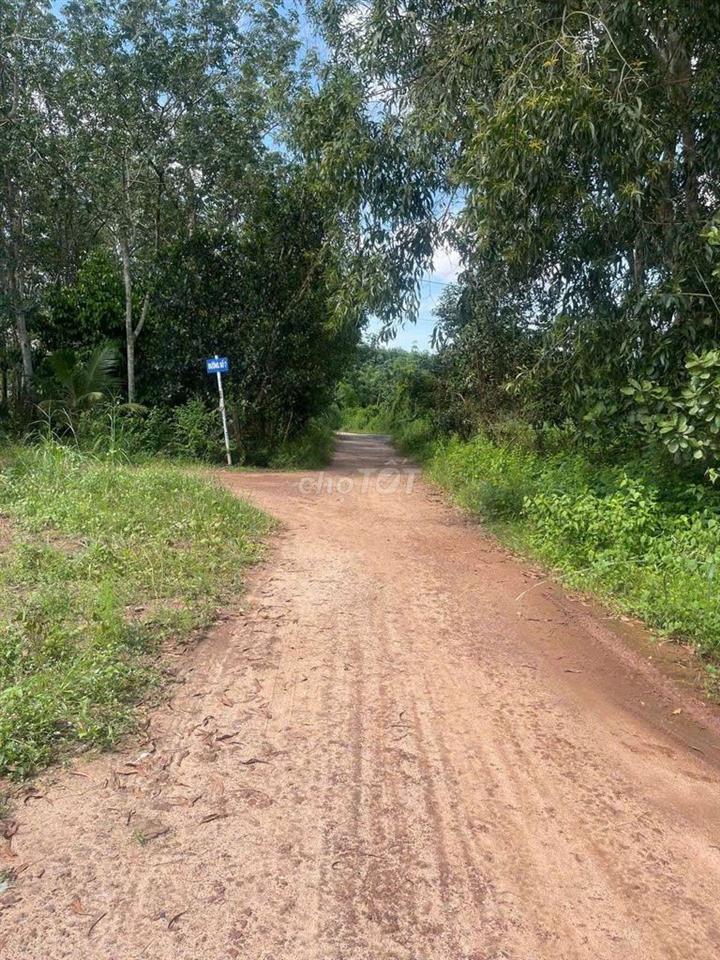 Chính chủ cần bán lô đất 317m2