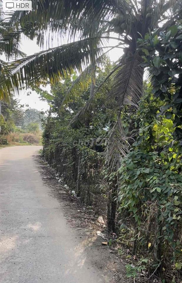 đất chính chủ đứng tên