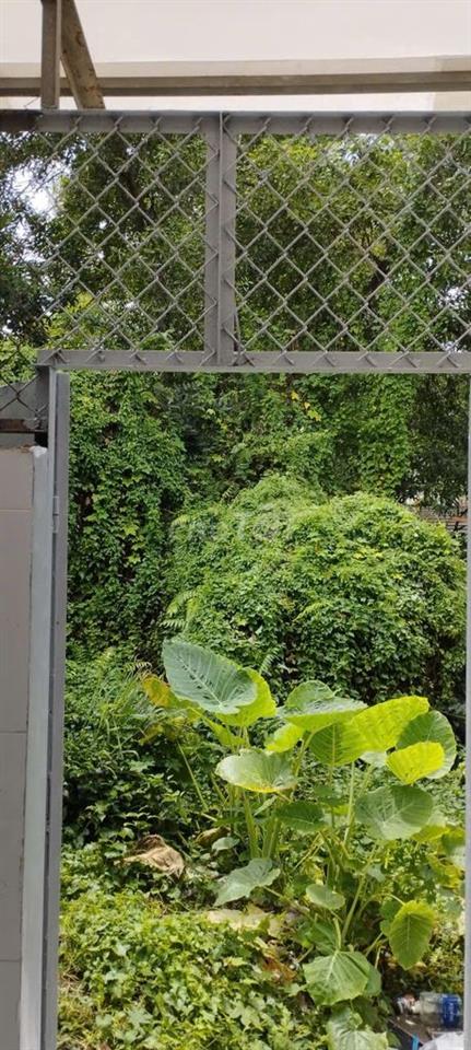 CHO THUÊ NHÀ NGUYÊN CĂN MẶT TIỀN ĐƯỜNG SỐ 10 - P. BÌNH HƯNG HÒA