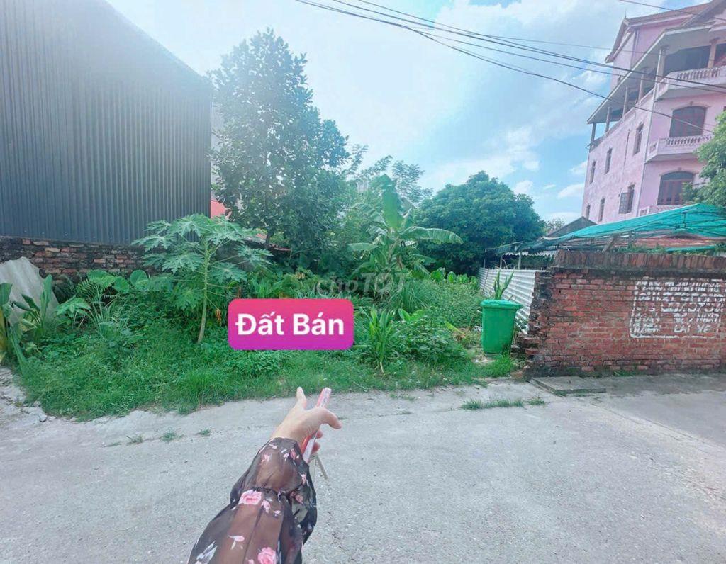 Chính chủ cần bán đất thổ cư tại Sóc Sơn