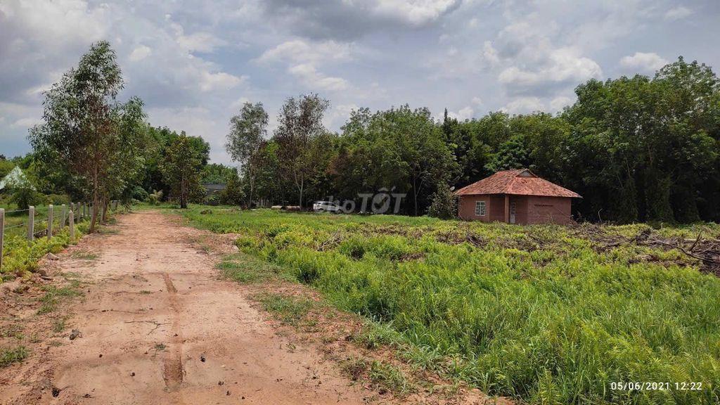 BÁN 10.427m² ĐẤT AN ĐIỀN – BẾN CÁT, BÌNH DƯƠNG