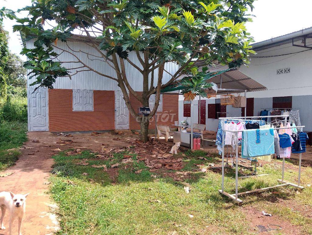 lô đất cần bán