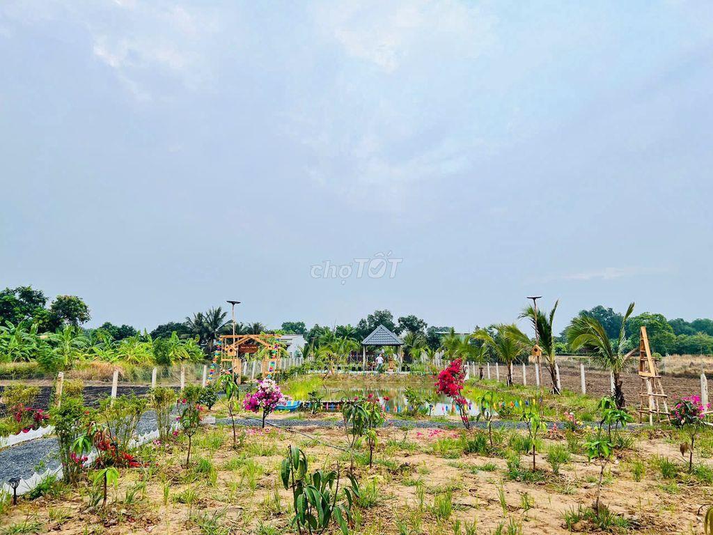Bán đất bình chánh