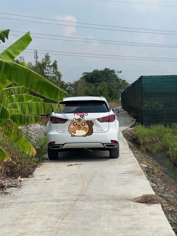 Bán đất bình chánh