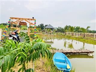 Bán đất bình chánh