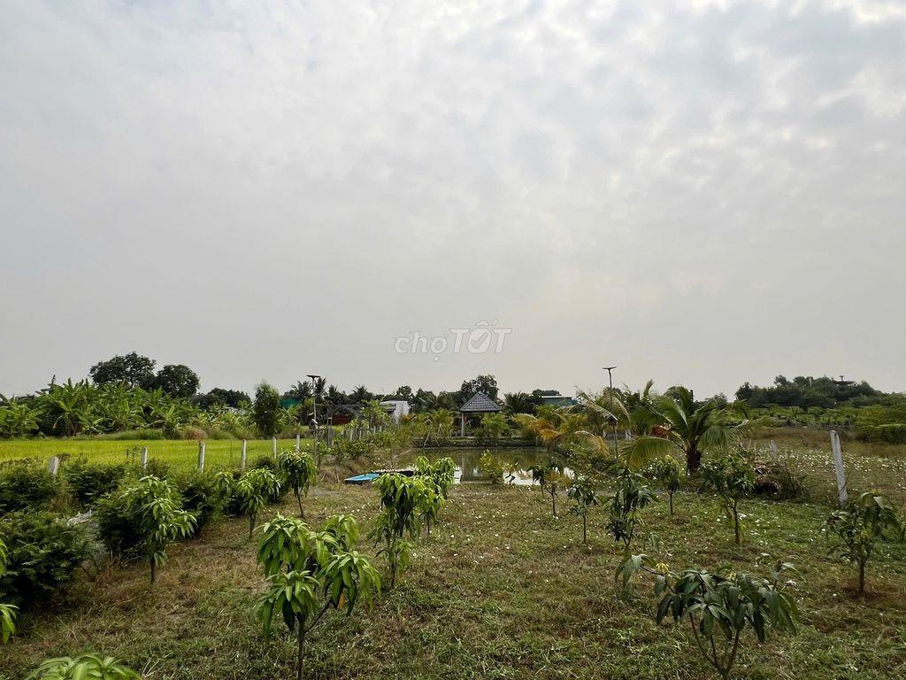 Bán đất bình chánh