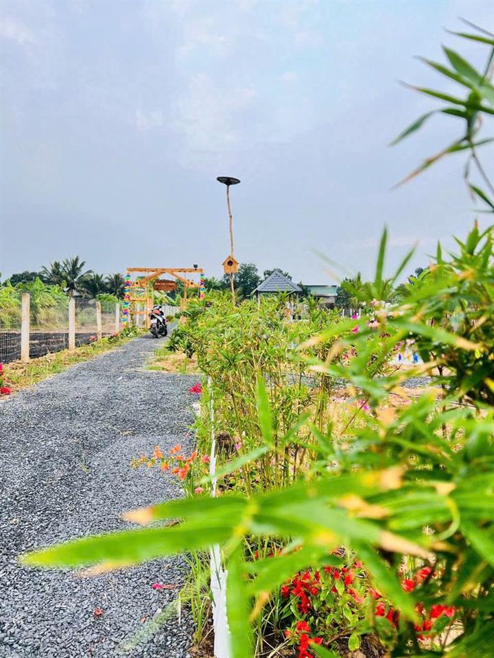 Bán đất bình chánh