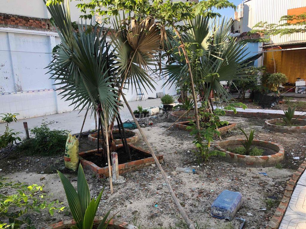 CHO THUE ĐẤT KINH DOANH