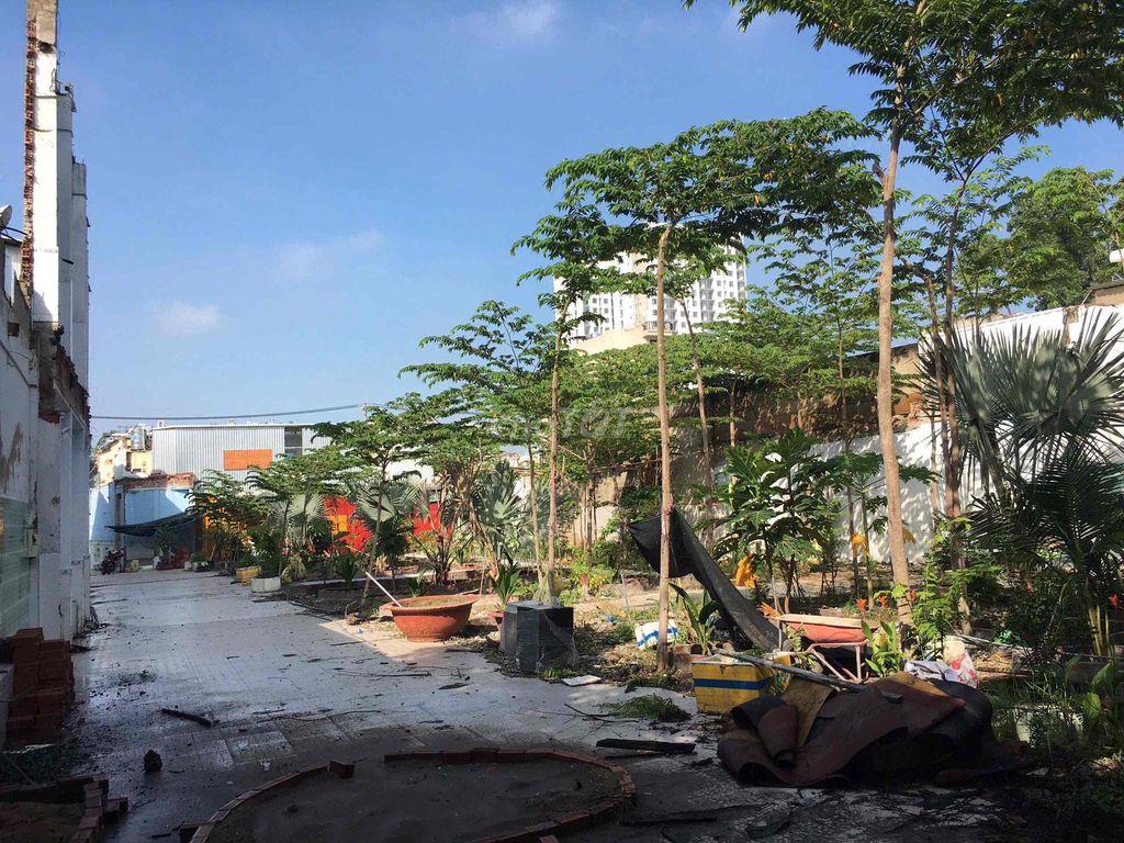 CHO THUE ĐẤT KINH DOANH