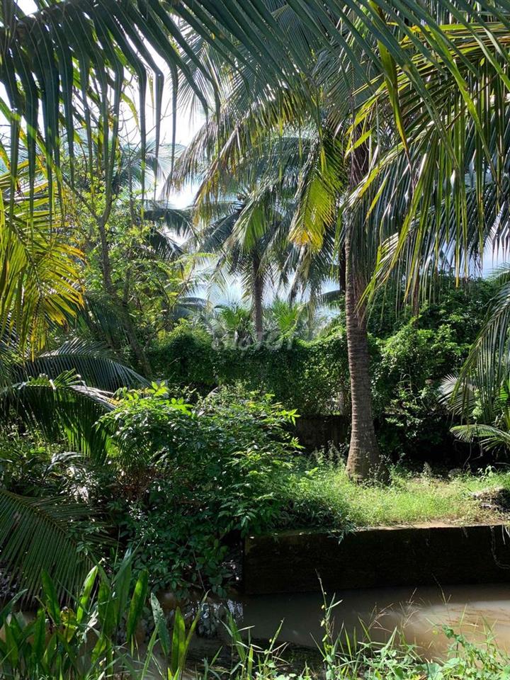 Cần bán đất gấp
