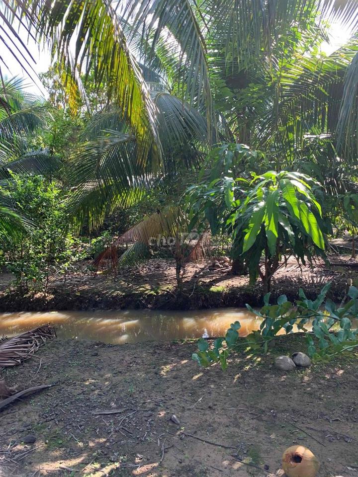Cần bán đất gấp