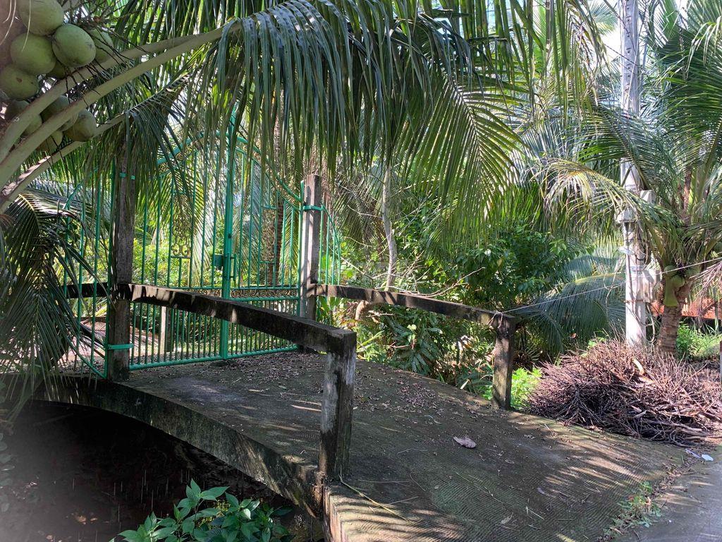 Cần bán đất gấp