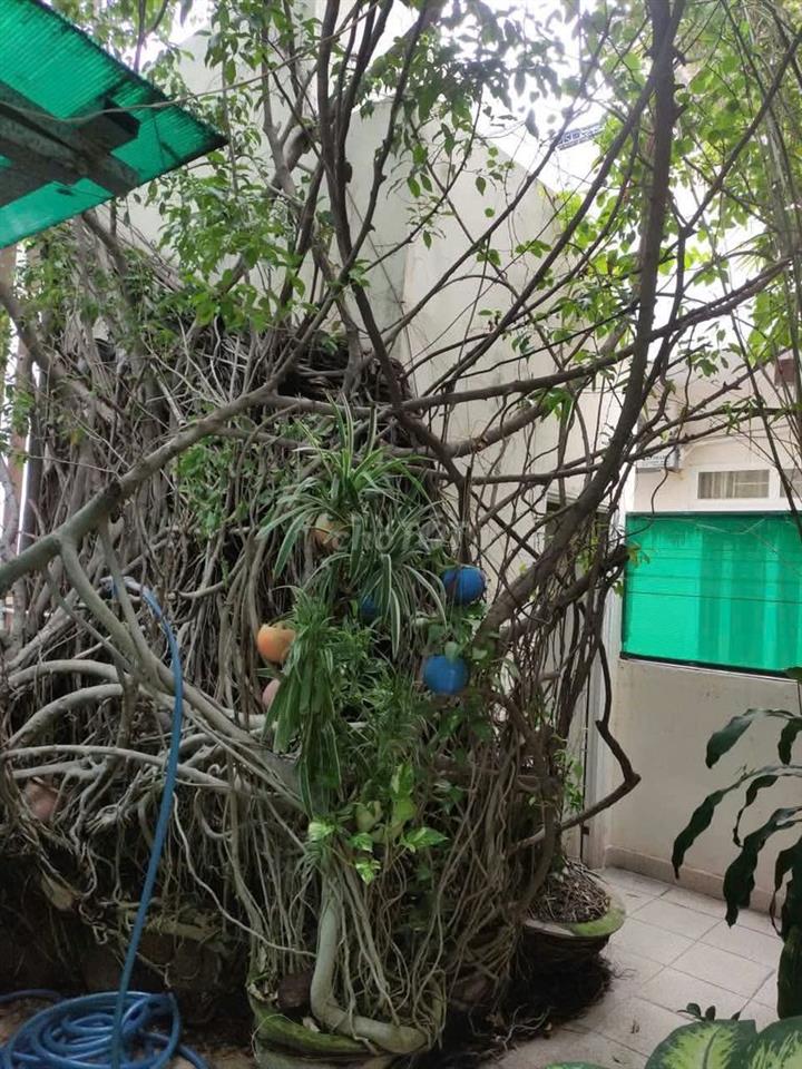 BÁN NHÀ TRUNG TÂM NHA TRANG, SÂN VƯỜN THOÁNG MÁT – GIÁ 12TỶ6