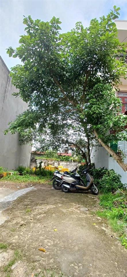 CHÍNH CHỦ BÁN NHÀ – LONG HƯƠNG
