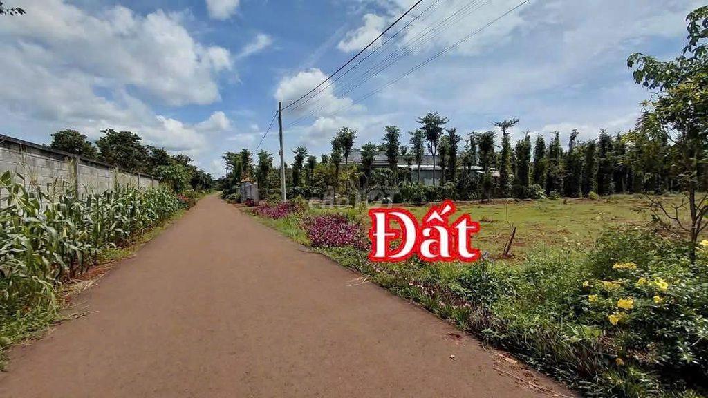 🔥 MỞ BÁN 5 NỀN ĐẤT KIM LONG – TP.HCM 🔥