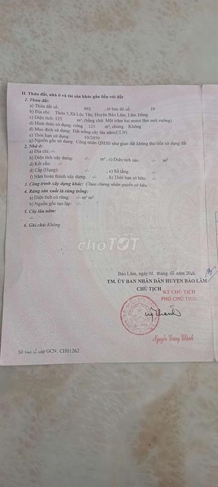 đất nền