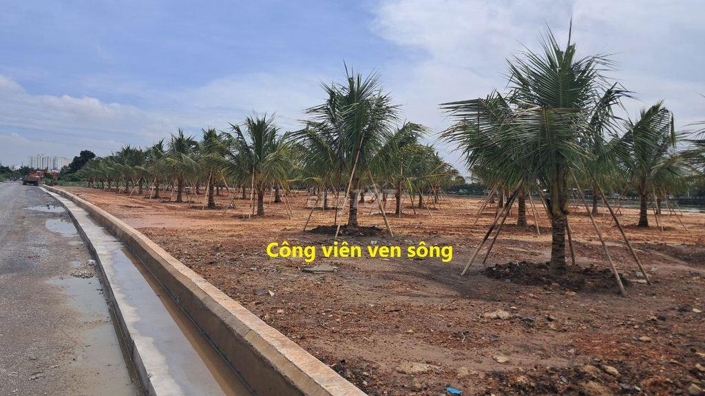 Bán lô đất 1/Sông Sài Gòn, gần Villa APĐ, đường 12m, dự phóng 16m