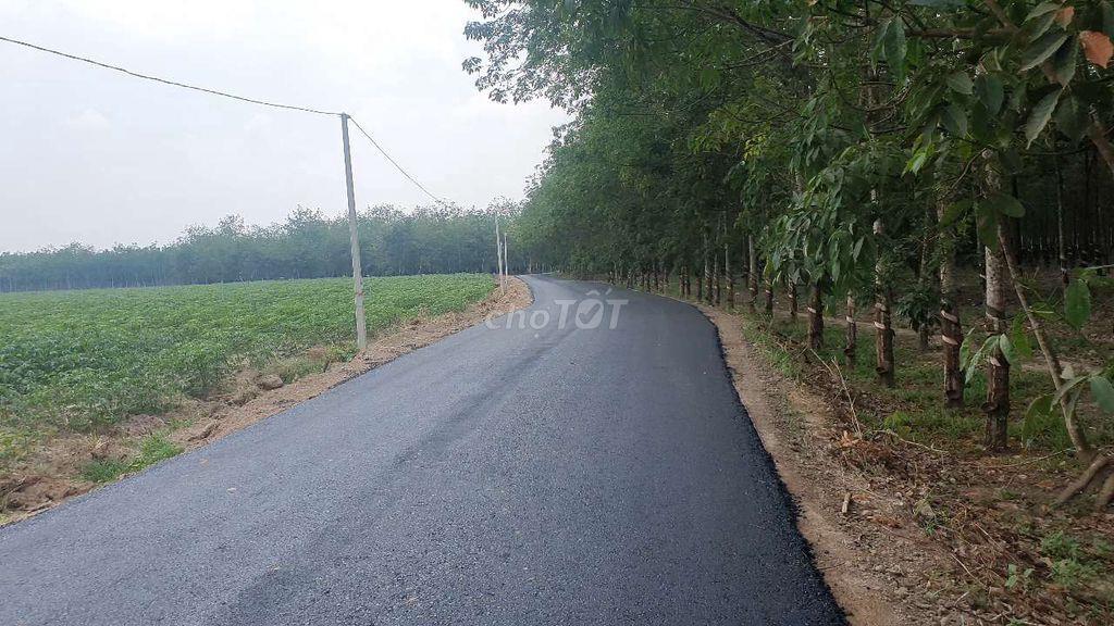Bán đất sào Tân Biên