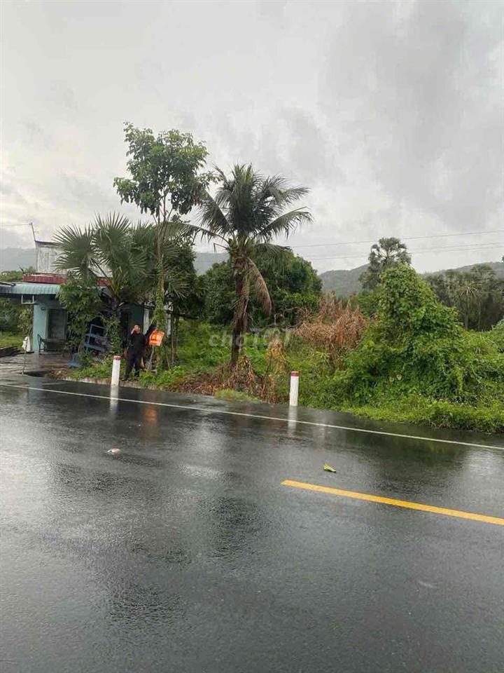 cần bán gấp