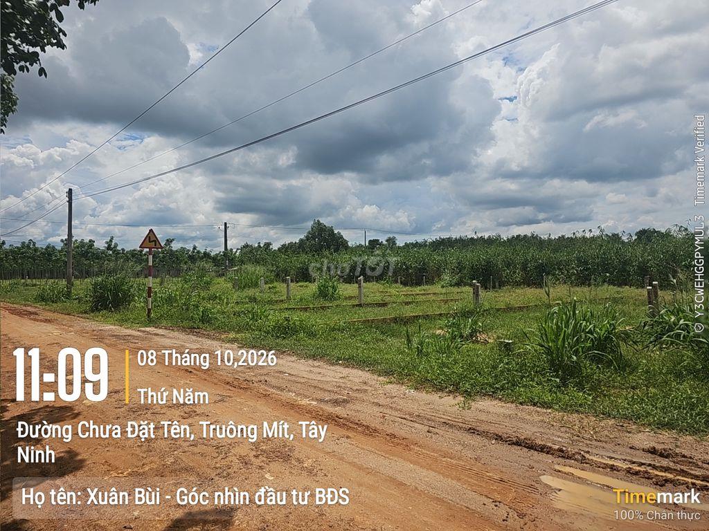 Giá đáy khu vực: chỉ 290 tr kề KCN Thạnh Đức, 5x29m, ở hoặc xây trọ