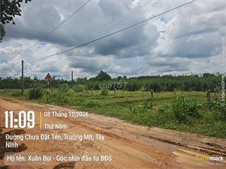 Giá đáy khu vực: chỉ 290 tr kề KCN Thạnh Đức, 5x29m, ở hoặc xây trọ