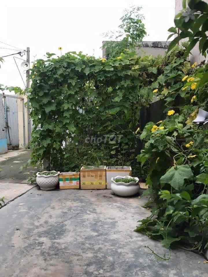 Cho thuê nhà  nguyên căn 120m2 có sân vườn