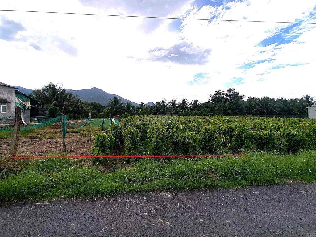 Chính chủ 500m2 Suối Tiên qui hoạch full thổ cư