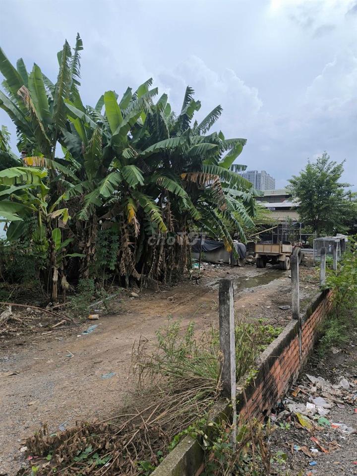 Cần bán đất nền Tân Túc gần chung cư West gate và tu viện Tường Vân