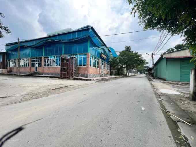 Bán đất