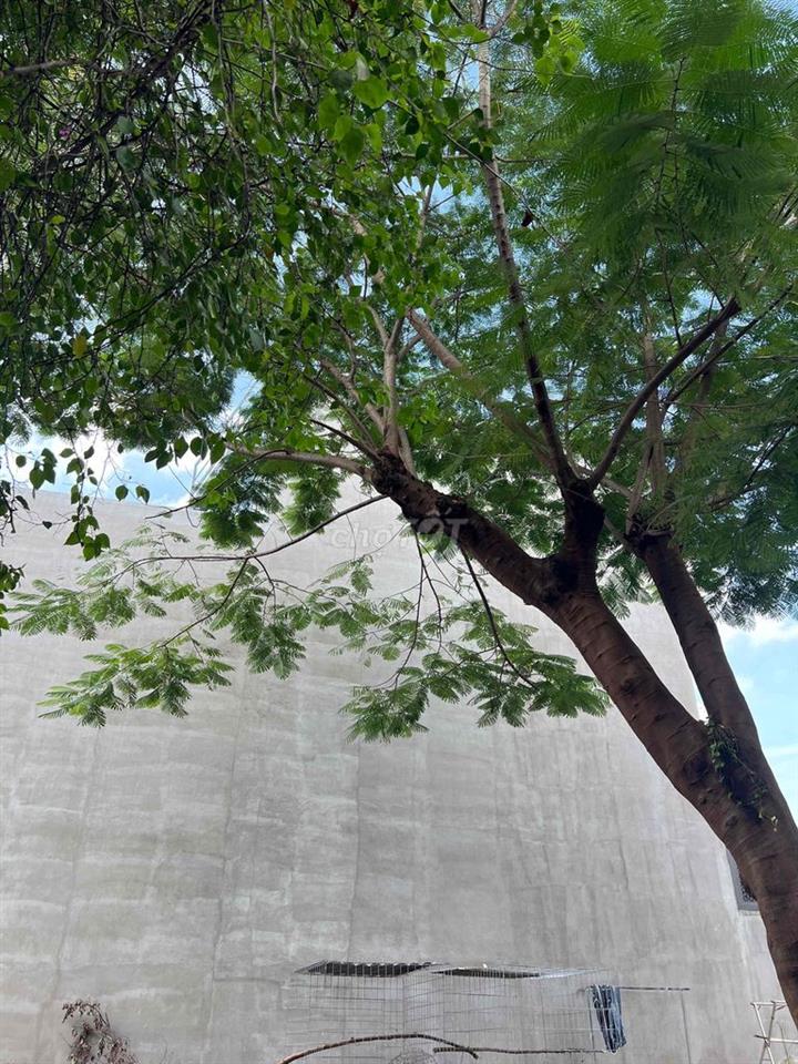 đất xây biệt thự 9x20m gần Chợ Xuân thới thượng