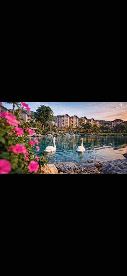 Tinh Hoa Đảo Ngọc Hải Vân Bay sống trọn đỉnh cao ,đầu tư thắng lớn