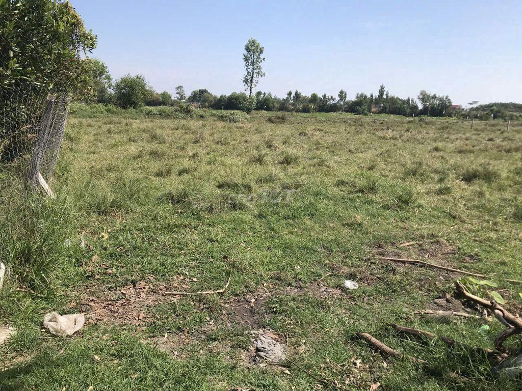CẦN BÁN ĐẤT TRUNG LẬP THƯỢNG, CỦ CHI – 404.8m² CÓ 200 M2 THỔ CƯ