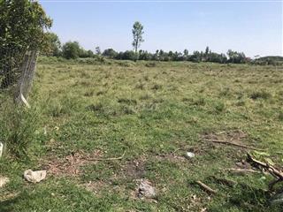 CẦN BÁN ĐẤT TRUNG LẬP THƯỢNG, CỦ CHI – 404.8m² CÓ 200 M2 THỔ CƯ