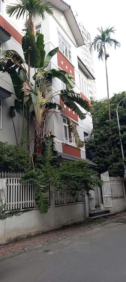 Cho thuê nhà A78, TT19, kđt Văn Quán, tdp số 5 Phúc La, Hà Đông, HN