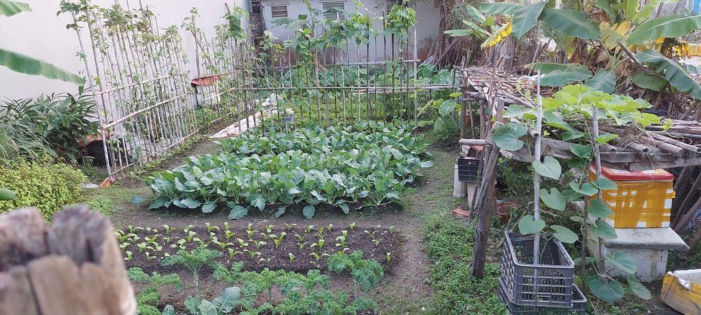 Chính chủ bán đất mặt đường EC Hùng Thắng - Hạ Long, mặt tiền 8.66m