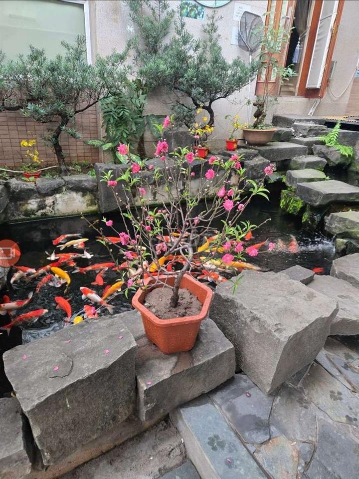 Cho thuê văn phòng, hoặc ở tạ kdti Đại Thanh