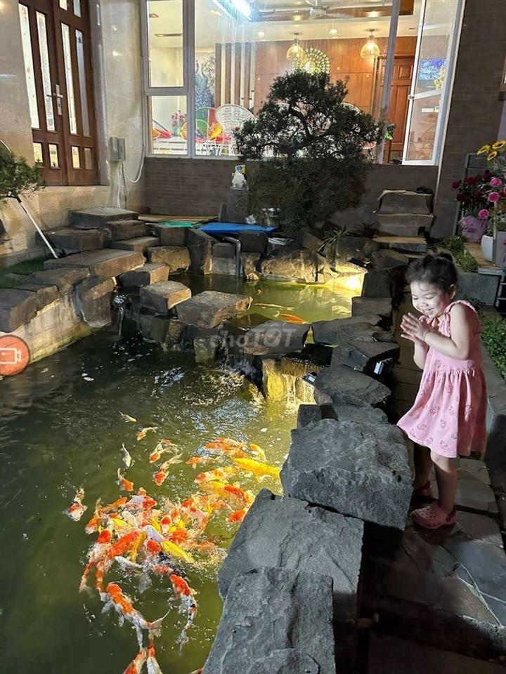 Cho thuê văn phòng, hoặc ở tạ kdti Đại Thanh