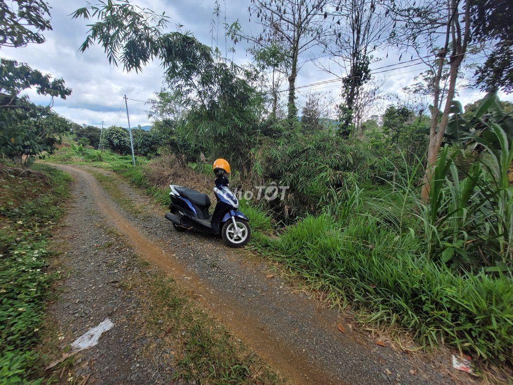 Đất dưỡng già nhưng có việc gấp nên cần chuyển nhượng