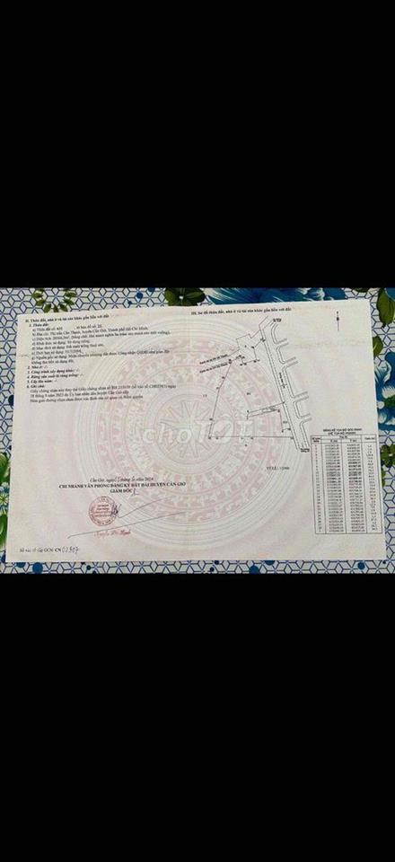 CẦN BÁN ĐẤT. TRUNG TÂM THỊ TRẤN CẦN THẠNH HUYỆN CẦN GIỜ.TPHCM