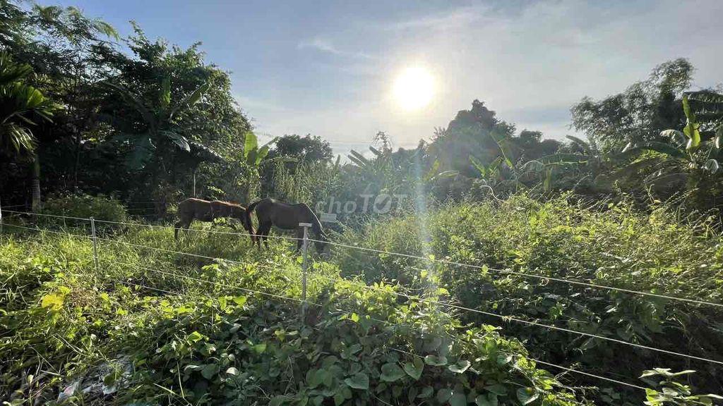 Đất nền đôi KDC Sao Mai Bình Khánh