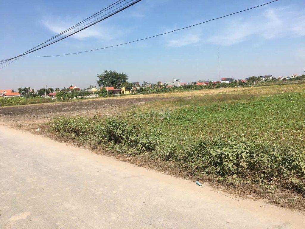 Cho thuê đất mặt đường 500m2 (17x30)