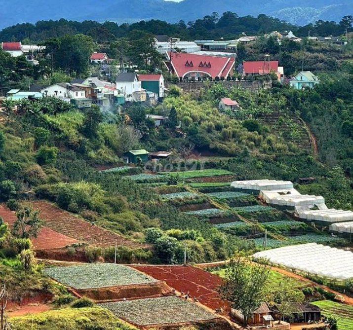 CẦN BÁN ĐẤT NỀN XUÂN THỌ – P. XUÂN TRƯỜNG, ĐÀ LẠT