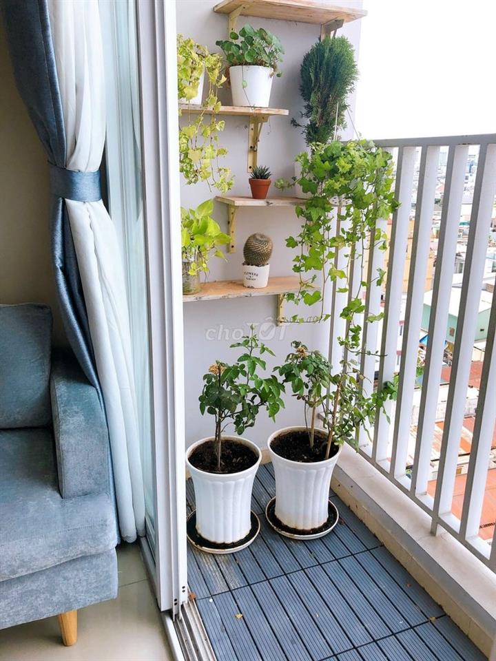 Cho thuê căn hộ Harmona, 50m2, 1PN, 11tr