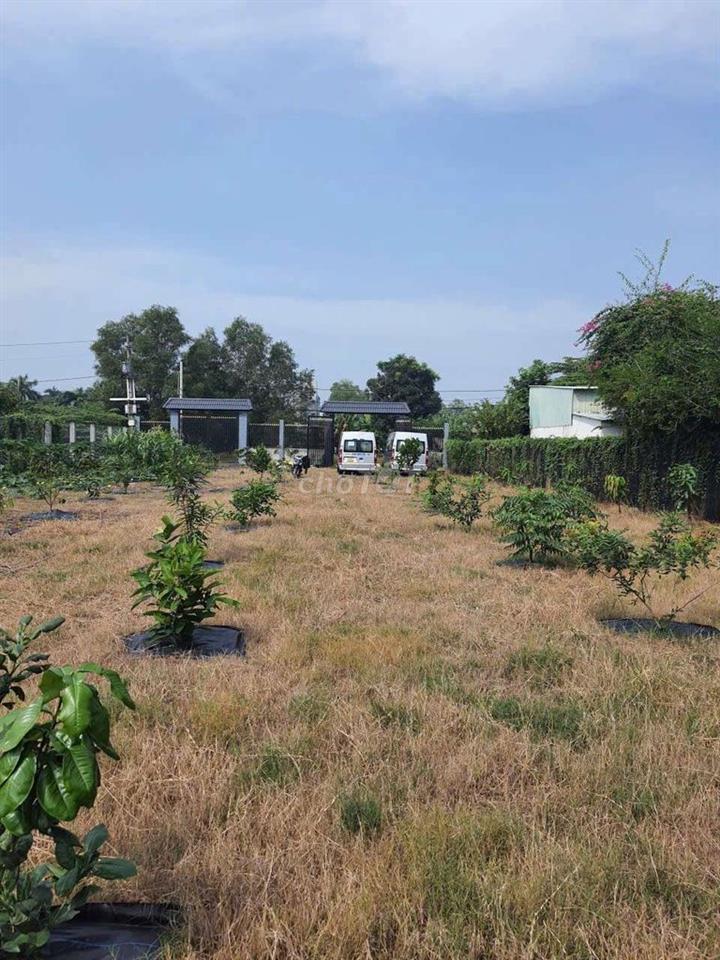 Bán đất thổ cư 