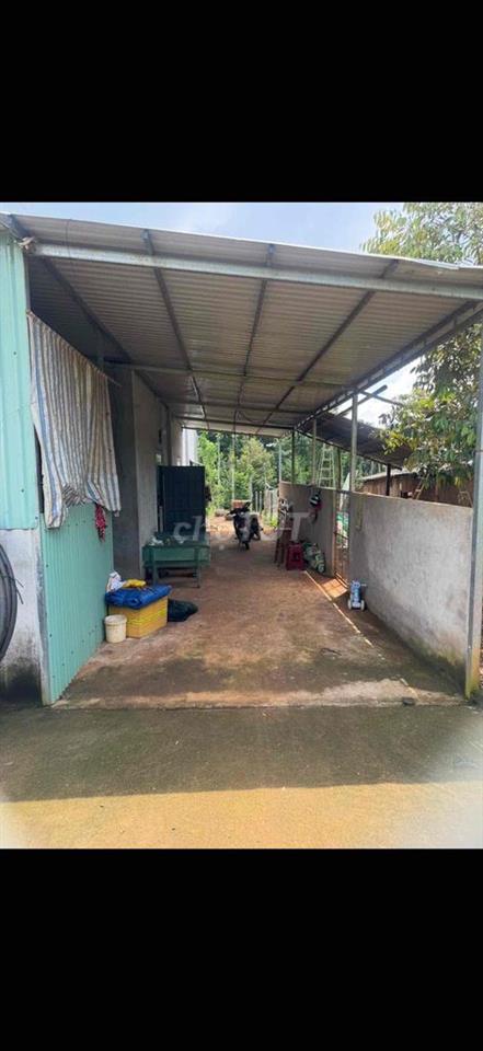 Bán nhà giá rẻ Bàu Chinh Châu Đức 20x50