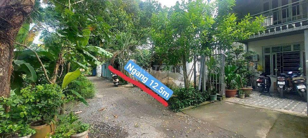 Nhà12,5×23m,Tlcc,1xẹt Tỉnh lộ9,về Q12 7km